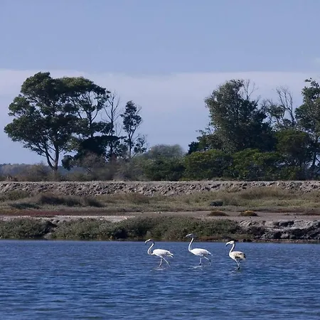 Apartment Gare Da Fonte Nova -