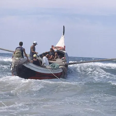 Gare Da Fonte Nova - * Aveiro