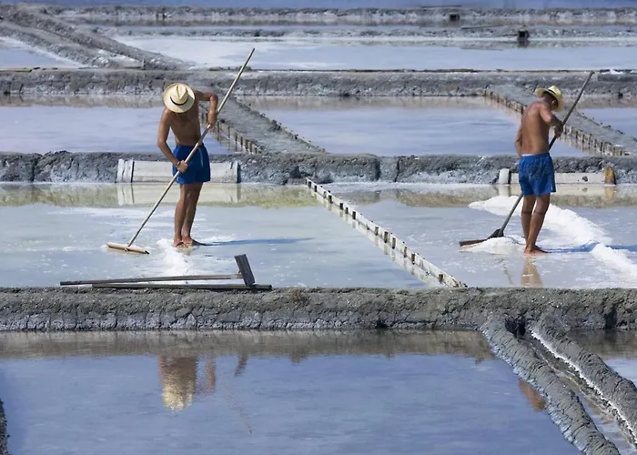 Apartment Gare Da Fonte Nova - Aveiro