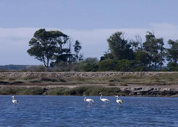 Apartment Gare Da Fonte Nova -